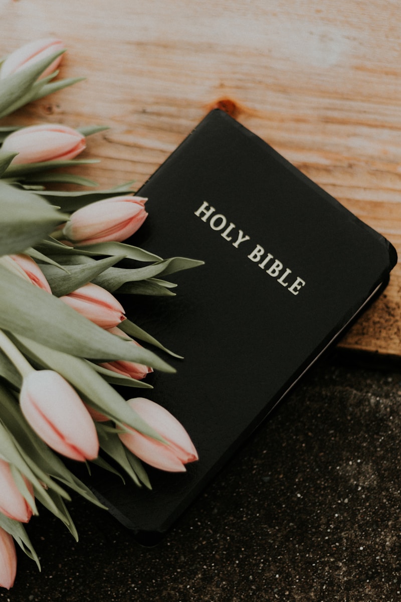 Genesis Chapter 1 Verses 1-31