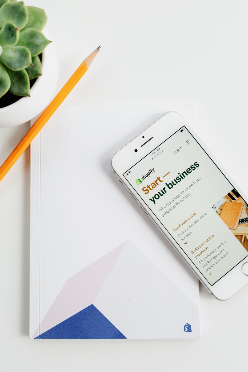 How To Achieve Dropshipping Success Lightning Fast