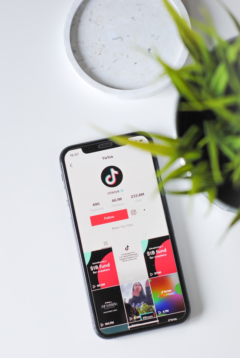 Make Money On TikTok Without Revealing Your Face